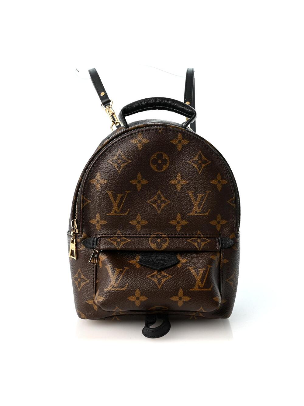 Louis Vuitton Palm Springs Backpack #368162L13B